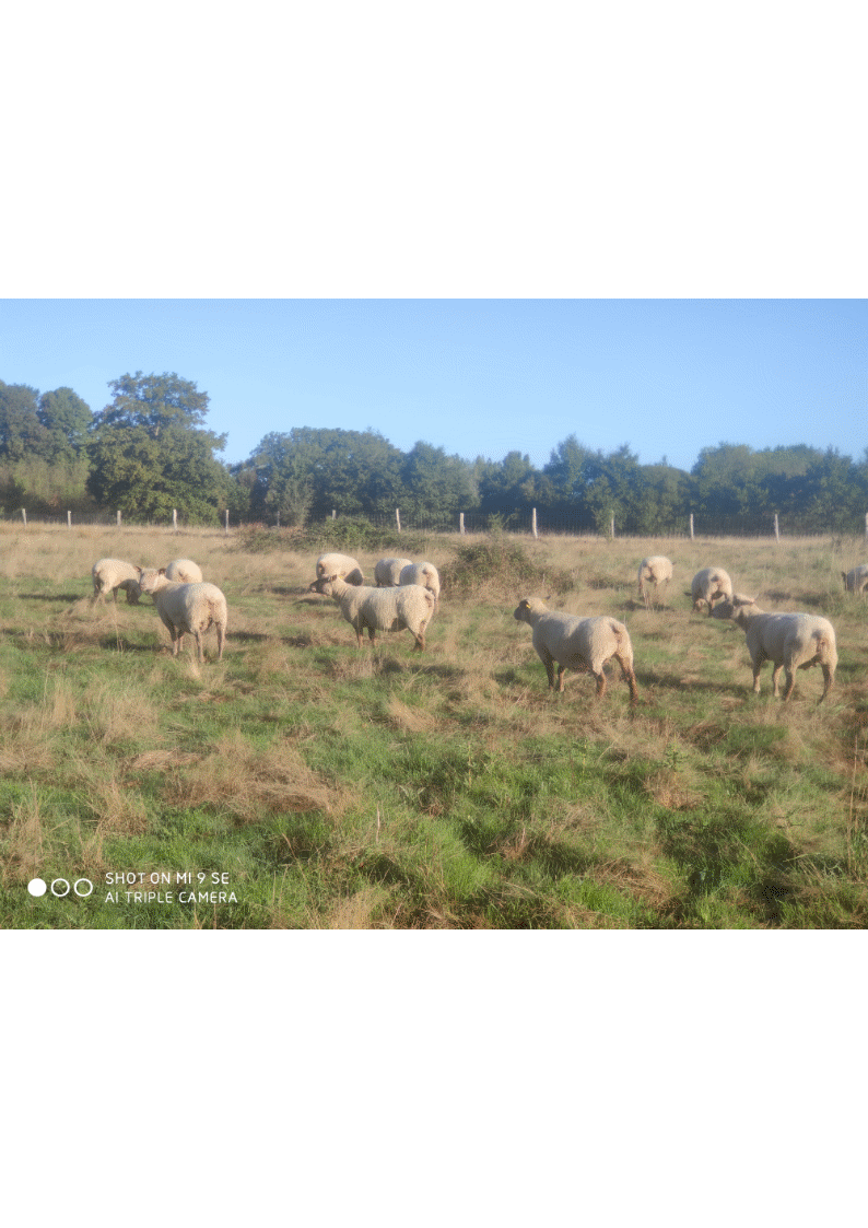 photo 3.gif